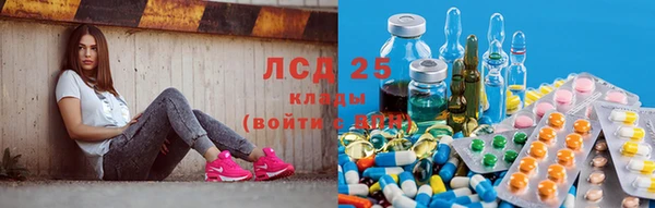 дурь Бородино