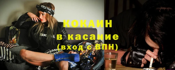 крисы Бронницы
