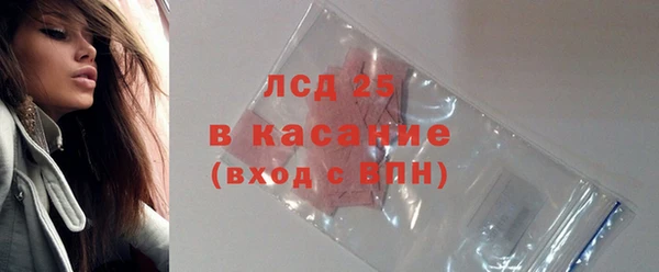 дурь Бородино