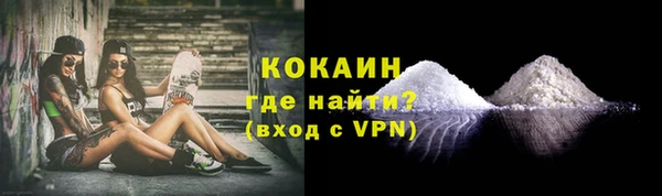 дурь Бородино
