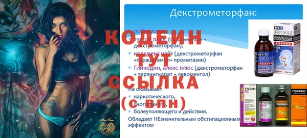 дурь Бородино