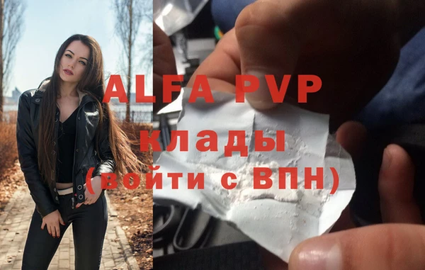 дурь Бородино