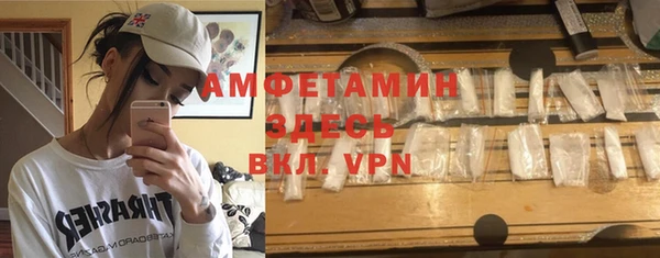 крисы Бронницы